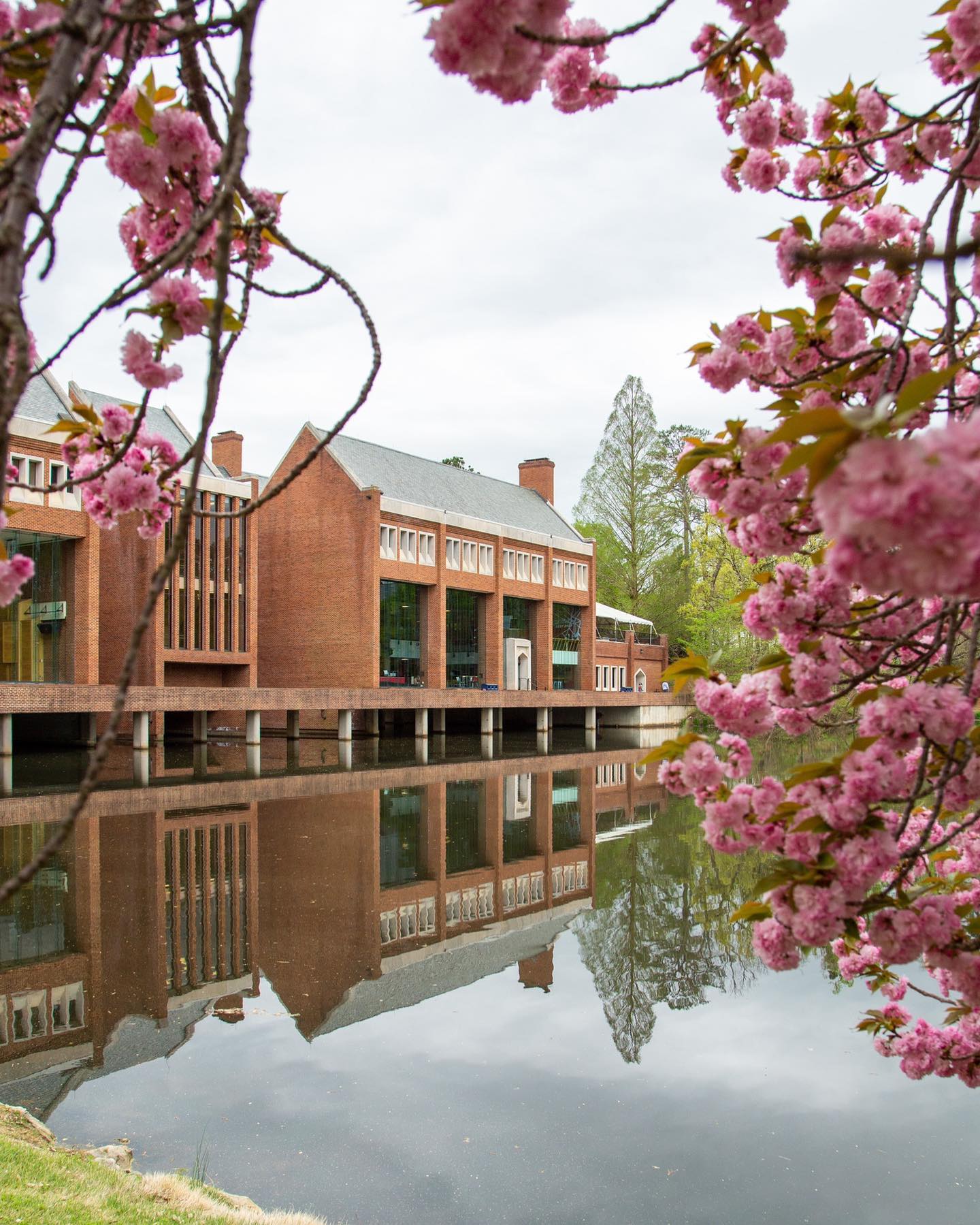 Braving the pollen for views like this. 🌸